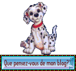 que pensez vous de mon blog?