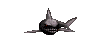 requin