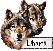 LIBERTE