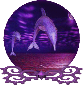 dauphins